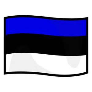 More information about "Estonian Assault"